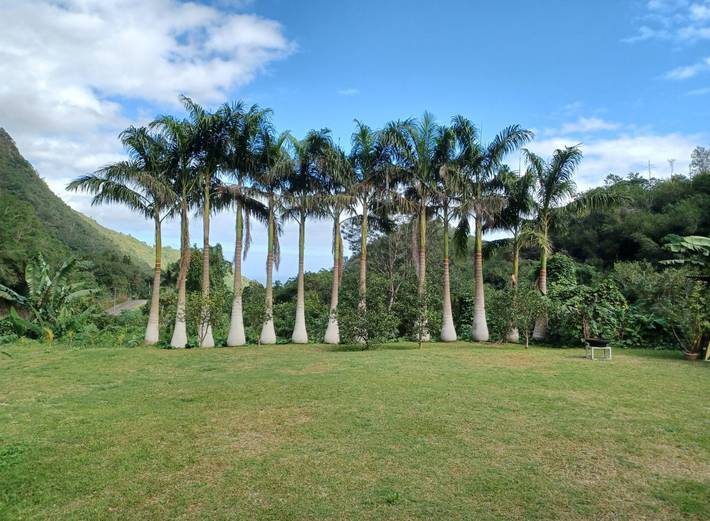 Gîte pour 8 personnes, avec terrasse et jardin dans DOM-TOM - 3