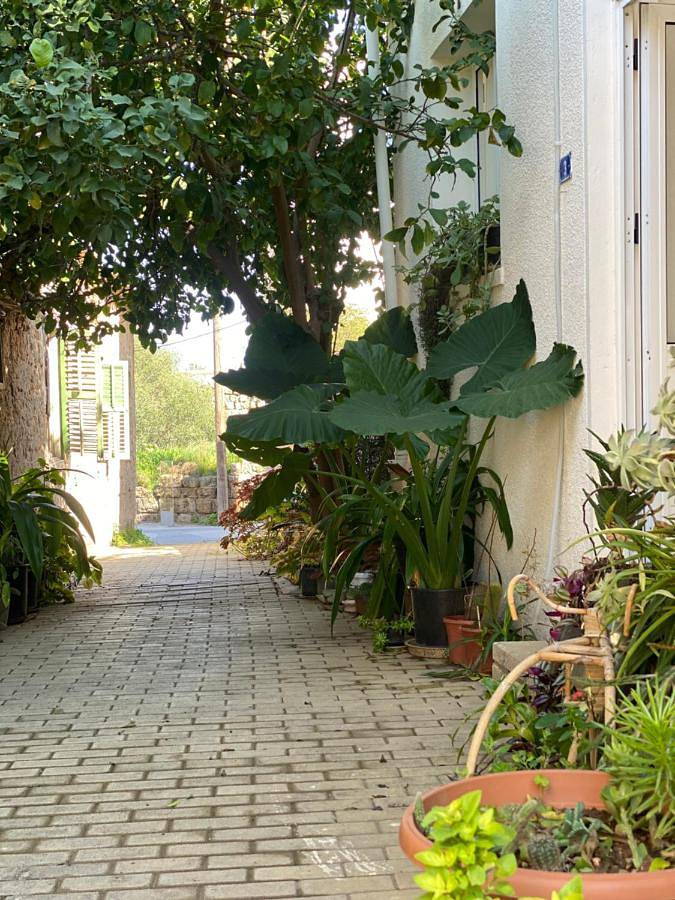 Maison de vacances pour 4 personnes, avec jardin et vue - 1