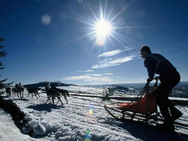 Appartement de vacances pour 12 personnes, avec jardin et vue, animaux acceptés