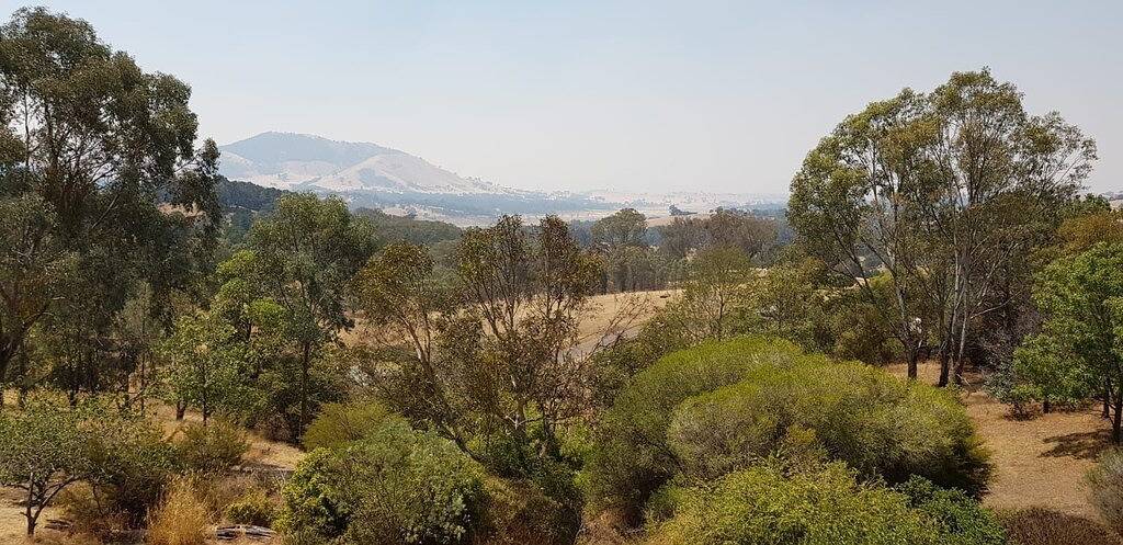 Mansfield Colonial Cabin with Stunning Views in Mansfield (Victoria), Shire of Mansfield