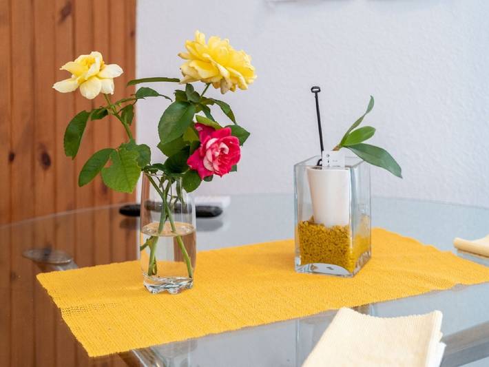 Ferienwohnung für 2 Personen, mit Balkon, kinderfreundlich auf Brac - 2