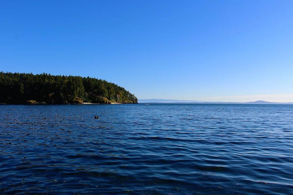 Privatstrand An Der Westlichen Seite Der Insel San Juan !! Open Bay Beach in Roche Harbor, San Juan Island