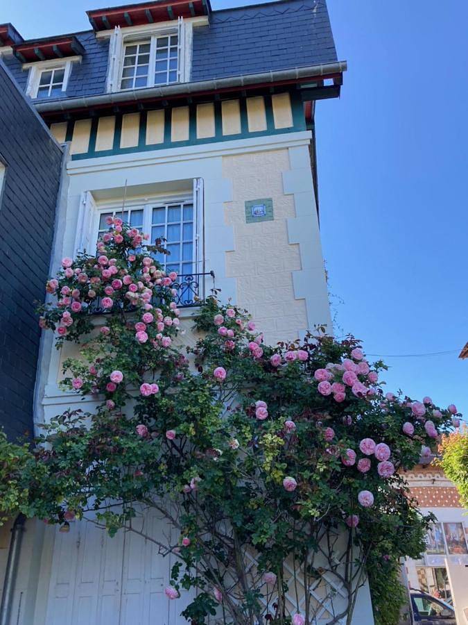 Winter Garden Studio 18m2 with terrasse in Deauville, Région de Lisieux