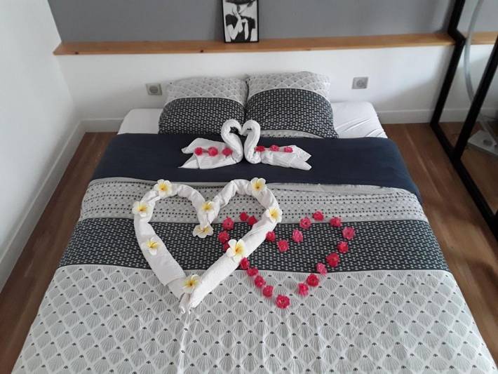 Gîte pour 2 personnes, avec jardin ainsi que sauna et jacuzzi à Clisson - 2