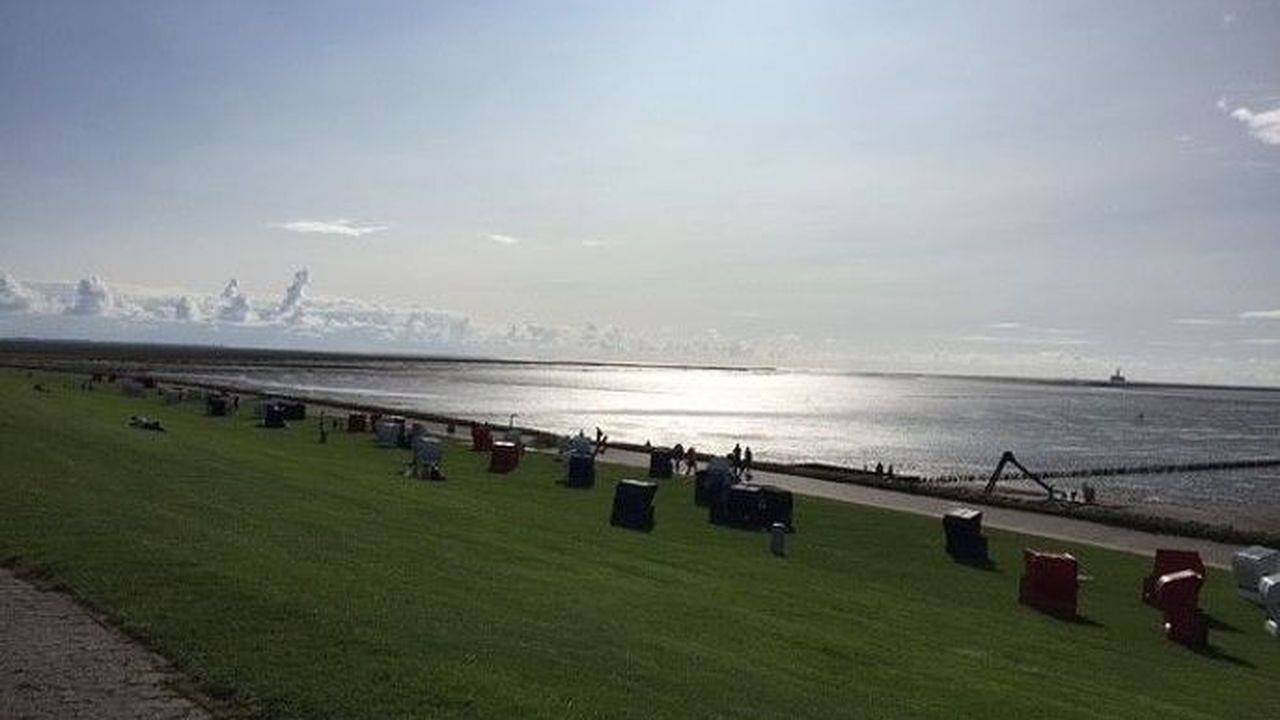 Ferienhaus für 4 Personen (60 m²) in Friedrichskoog in Friedrichskoog-Spitze, Friedrichskoog