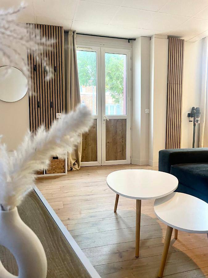 Appartement entier, Sologne évasion in La Ferté-Saint-Aubin, Sologne
