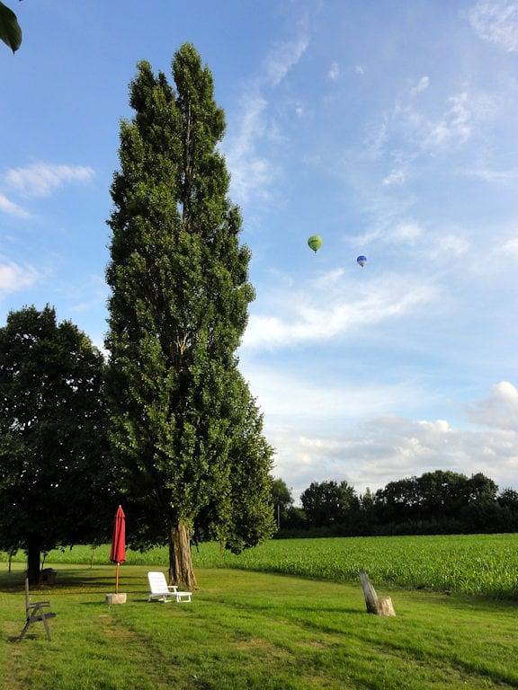 Chambres d'hôtes Le Rateau - Chambre Gogane in Rochefort-sur-Loire, Région d'Angers