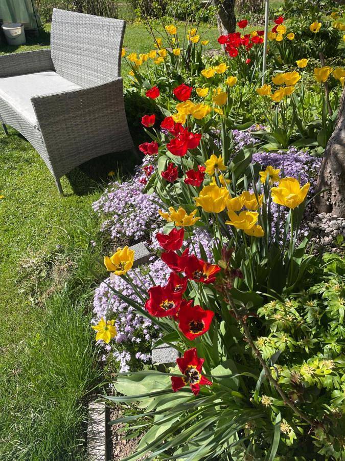 Ferienwohnung für 6 Personen, mit Balkon und Terrasse sowie Garten und Ausblick in Roßhaupten - 3