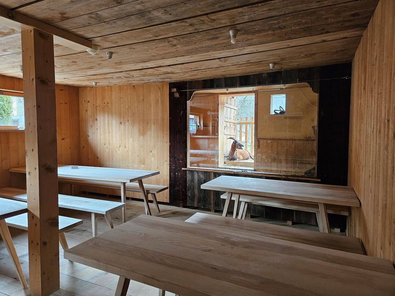 Naze's Hus - Doppelzimmer Mörzelspitze in Mellau, Bregenzerwald