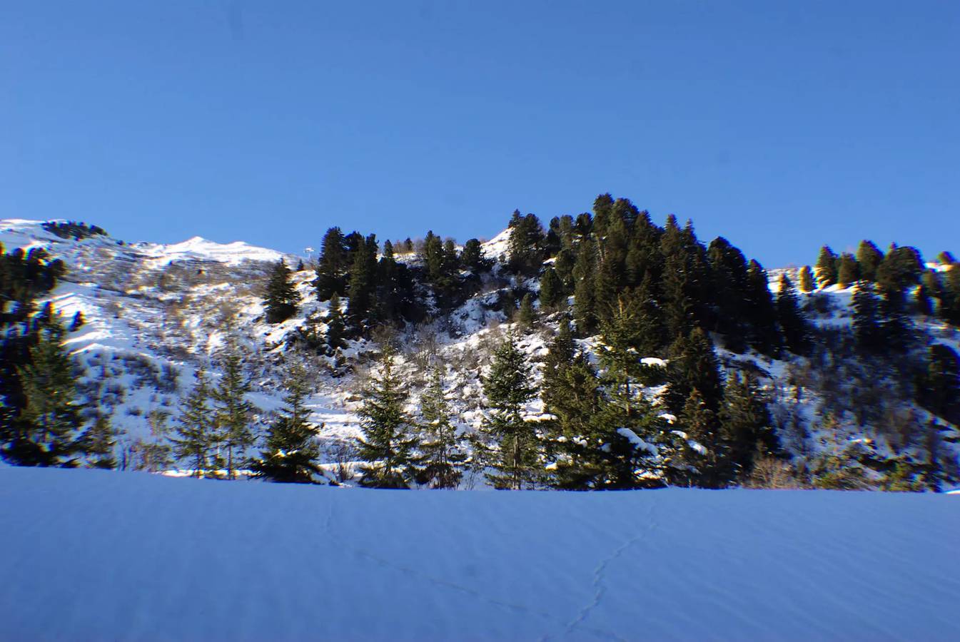 Entire studio, Studio for 4 people in Meribel Mottaret in the Hameau district, at the foot of the slopes in Méribel-Mottaret, Les Allues