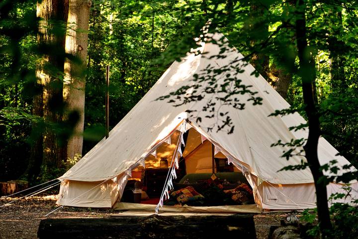Glamping for 6 people in Hampshire