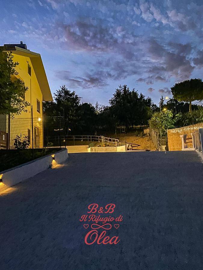 Bed and breakfast per 1 persone, con animali domestici - 1