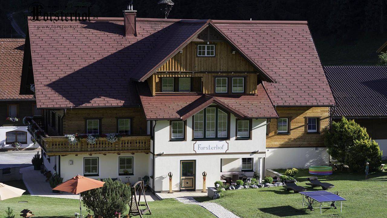 Ganze Ferienwohnung, Ferienwohnung für 4 Personen (50 m²) in Ramsau am Dachstein in Dachsteingebirge, Ramsau am Dachstein