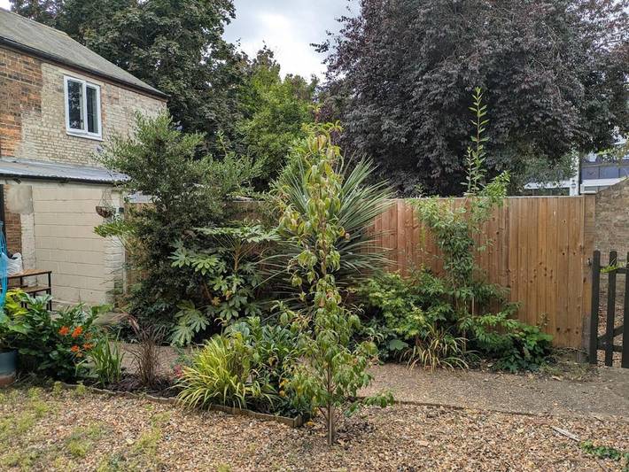 Location de vacances pour 3 personnes, avec terrasse et jardin, animaux acceptés dans Ely - 3
