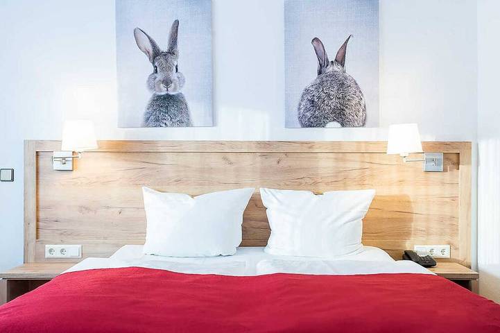Ferienhaus für 4 Personen, mit Pool und Sauna, mit Haustier in Feldberg - 3