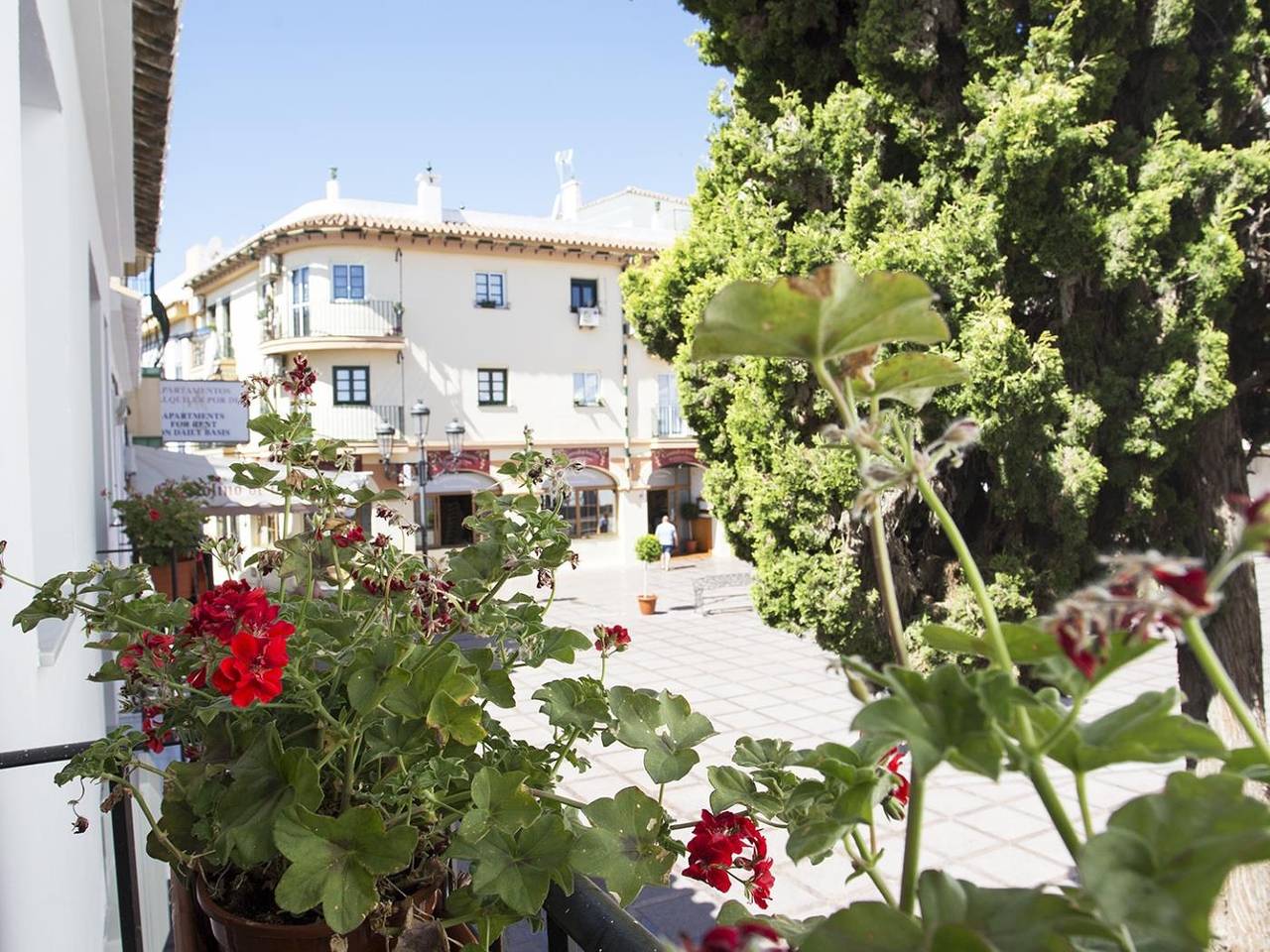 Apartamento vacacional entero, Monkó Mango Tropycal Apartments in Playa El Bajondillo, Torremolinos