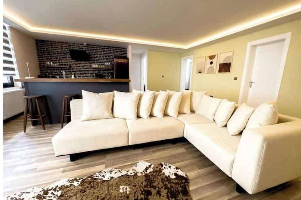 Entire apartment, 109-Luxury Ankara Downtown Home in Ankara, Central Anatolia region