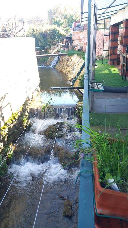 Apartamento de férias inteiro, Dois amigos- Casa Amazonia Pt in Coimbra, Distrito de Coimbra