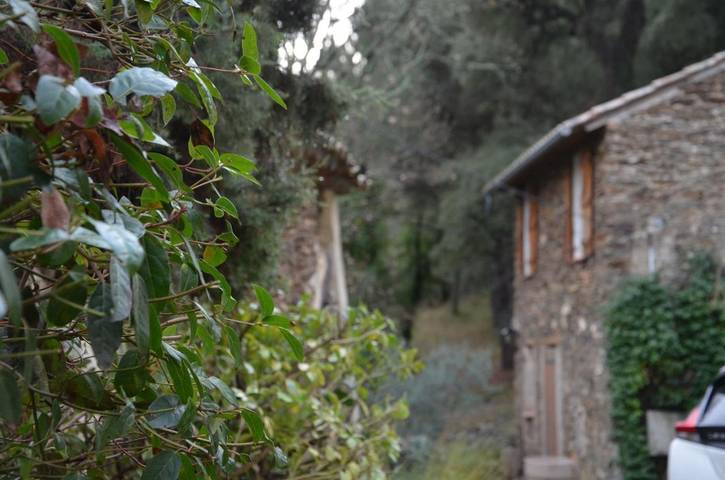 Maison de campagne pour 4 personnes, avec Terrasse ainsi que Jardin et Vue à Collobrières