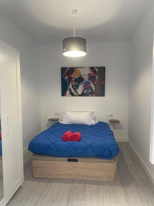 Gîte pour 6 personnes, avec Terrasse à Paterna - 3