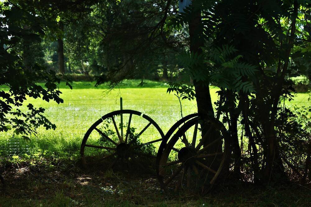 Großes Ferienhaus in herrlicher Alleinlage im südlichen Ostfriesland — Bild 4