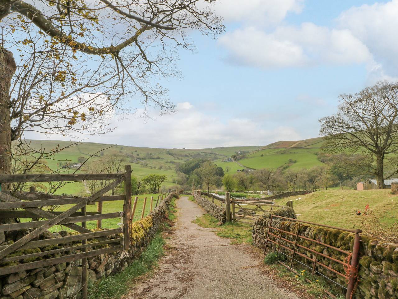 Swallows Return in Macclesfield Forest and Wildboarclough, Cheshire East