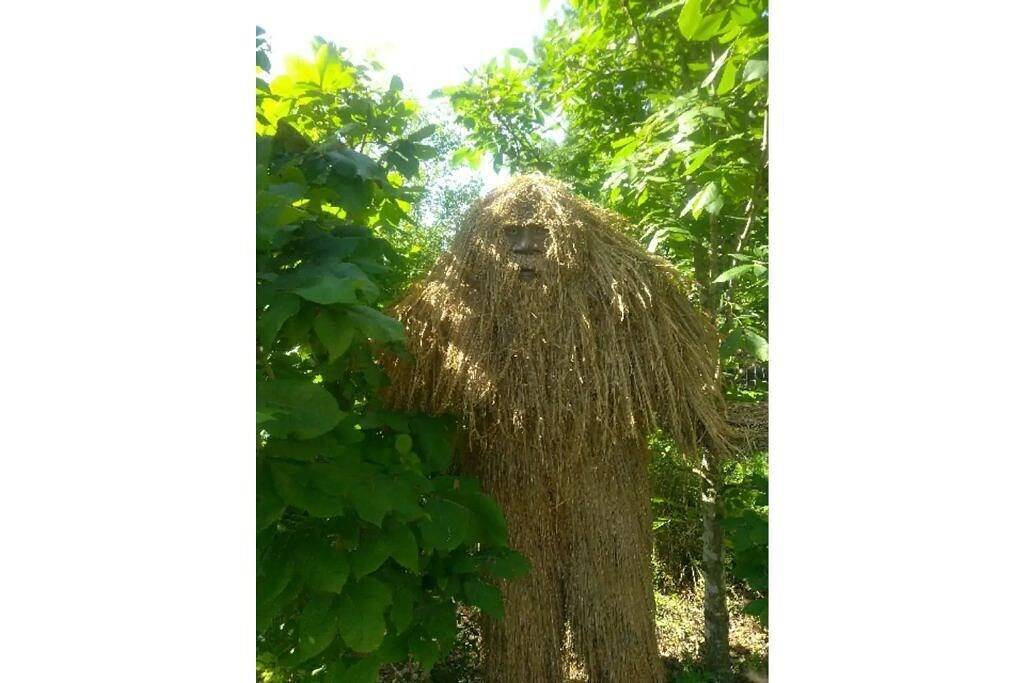 Bigfoot Inn -cabin with loft -near Illinois River in Ozark Mountains