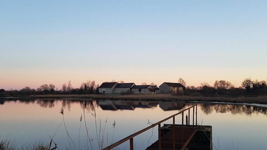 Chambre d’hôte pour 4 personnes, avec vue et jardin ainsi que terrasse et vue sur le lac dans Saint-Michel-en-Brenne