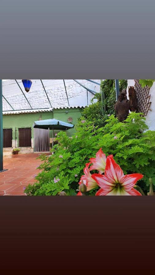 Casa rural para 4 personas, con jardín además de terraza y vistas en Sierra Mágina - 3