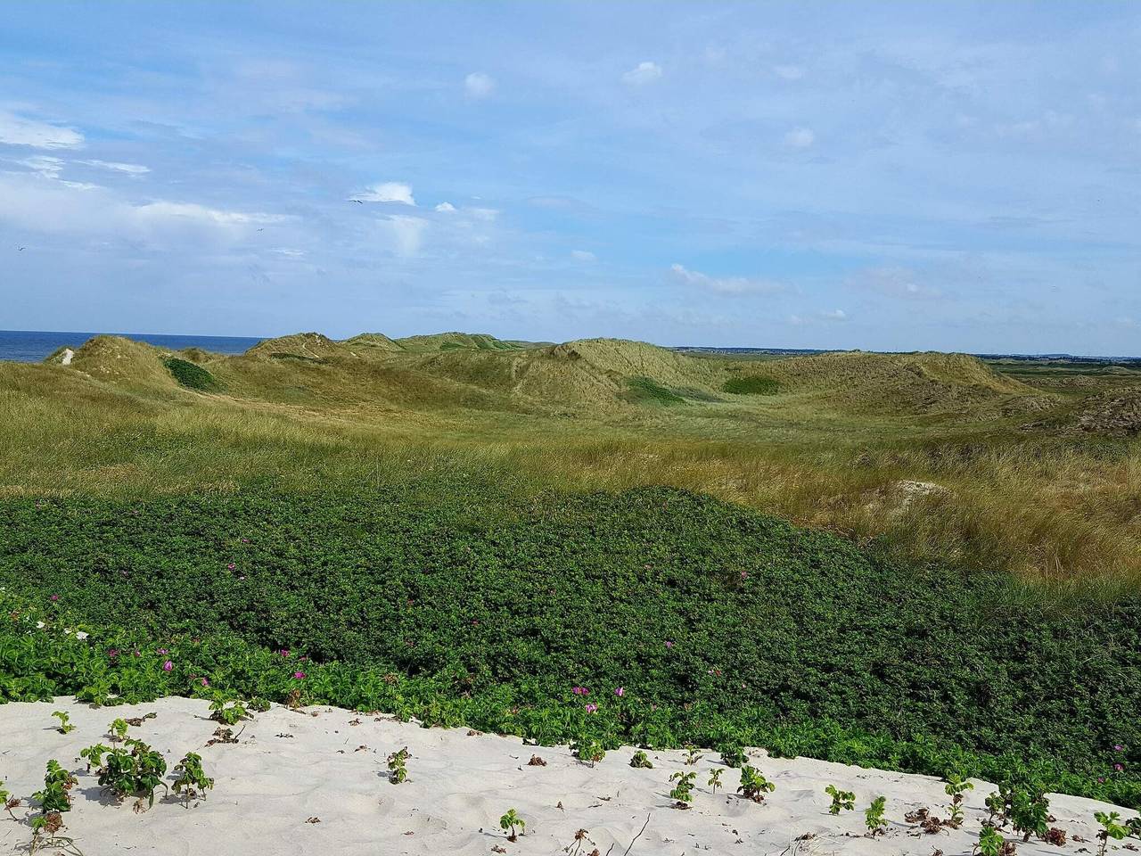 8 Personen Ferienhaus in Ringkøbing in Ringkøbing, Holmsland Klit