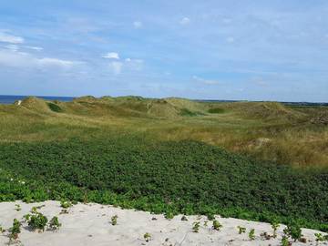Ferieudlejning til 8 Personer i Klegod Strand, Holmsland Klit, Billede 4