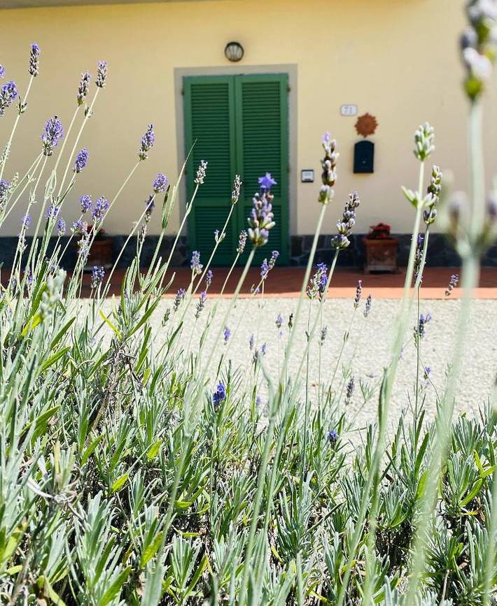 Maison d’hôte pour 3 personnes, avec Balcon et Terrasse ainsi que Jardin et Vue