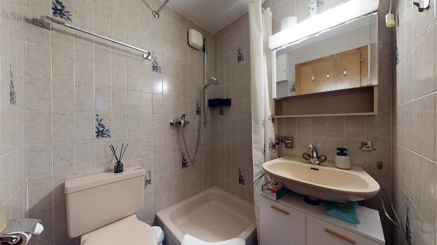 Gîte pour 6 personnes, avec vue et balcon, animaux acceptés à Saillon - 4