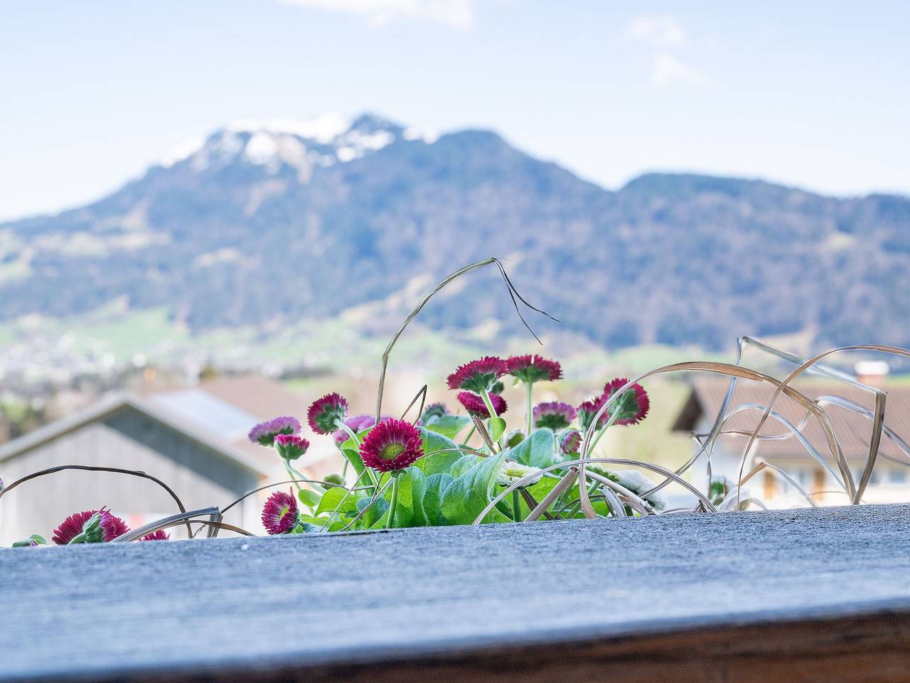 Ganze Ferienwohnung, Ferienwohnung Ritter Schwarzenberg im Bregenzerwald - Fewo Ritter,90qm, 2 Pers. in Schwarzenberg, Bodensee-Vorarlberg