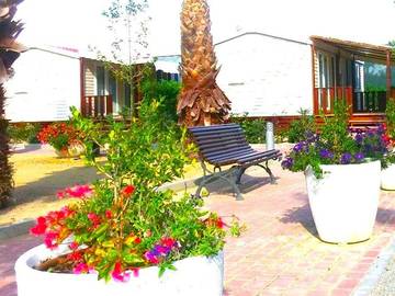 Camping para 6 Personas en Cambrils, Baix Camp, Foto 4