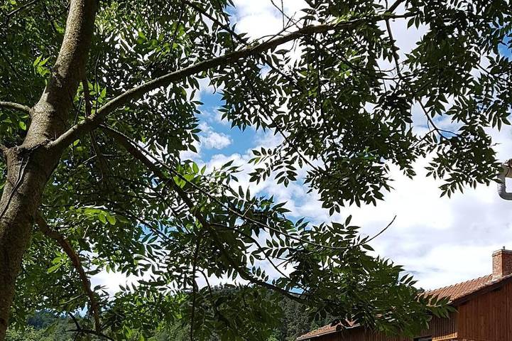 Gîte pour 12 personnes, avec jardin à Domeyrat