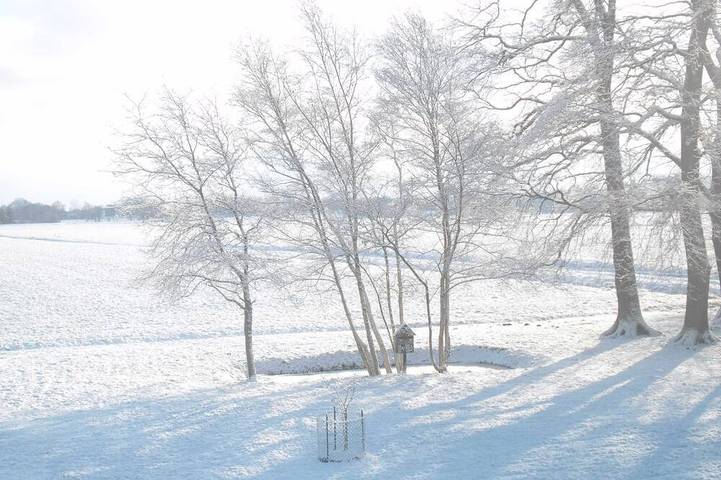Cottage für 4 Personen, mit Garten und Terrasse in Worpswede - 3
