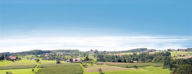 Pension, mit Balkon/Terrasse und Terrasse sowie Garten in Freiamt - 4