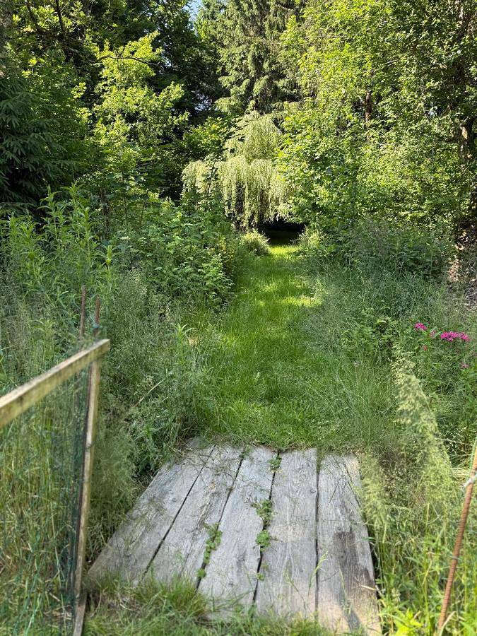 Chambre d’hôte pour 3 personnes, avec jardin et terrasse, animaux acceptés à Neufchâteau (Belgique) - 3