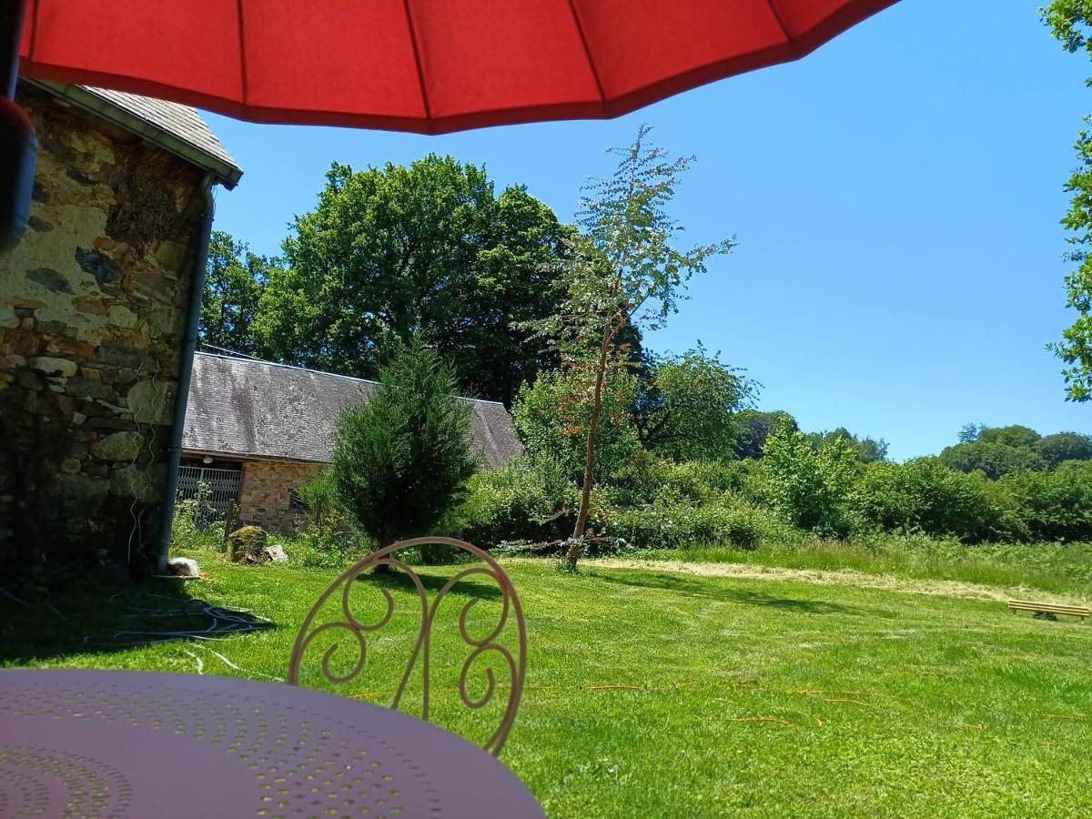 La petite Salamandre bleue in La Croisille-sur-Briance, Région de Limoges