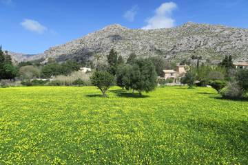 Finca in Pollença Stadt, Pollença für 8 