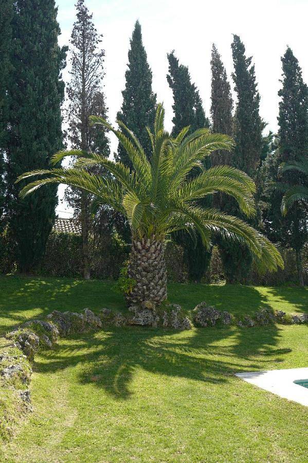 Casa rural para 3 personas, con Terraza y Jardín además de Piscina para niños y Piscina en Setubal - 4