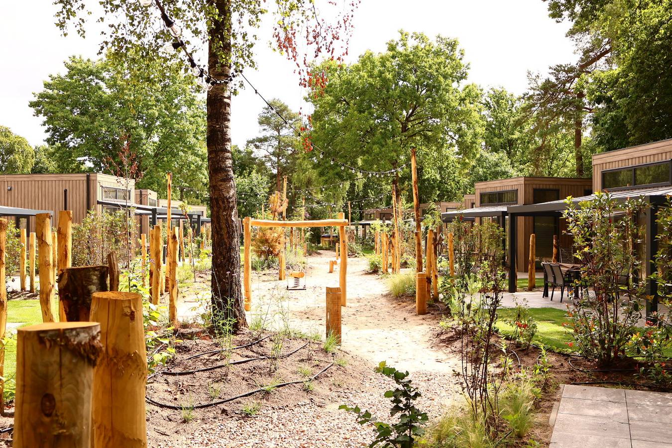 Veluwepark de Bosgraaf — Reeëndal Lodge | 4 personen in Veluwe