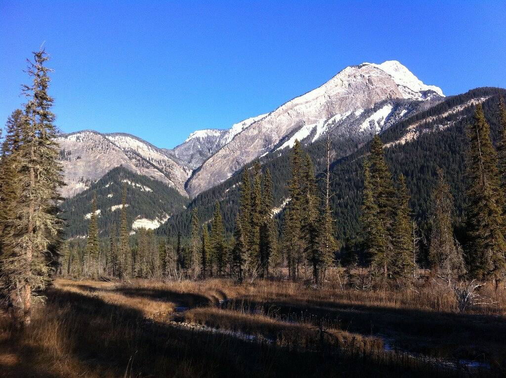 Le renforcement de l'éco-Belle dans le coeur des montagnes Rocheuses in Kicking Horse
