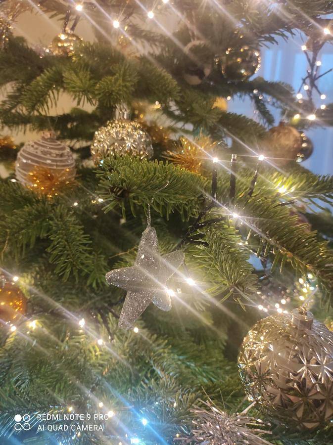 Ferienwohnung für 6 Personen, mit Ausblick und Garten sowie Sauna in Bitburg - 3