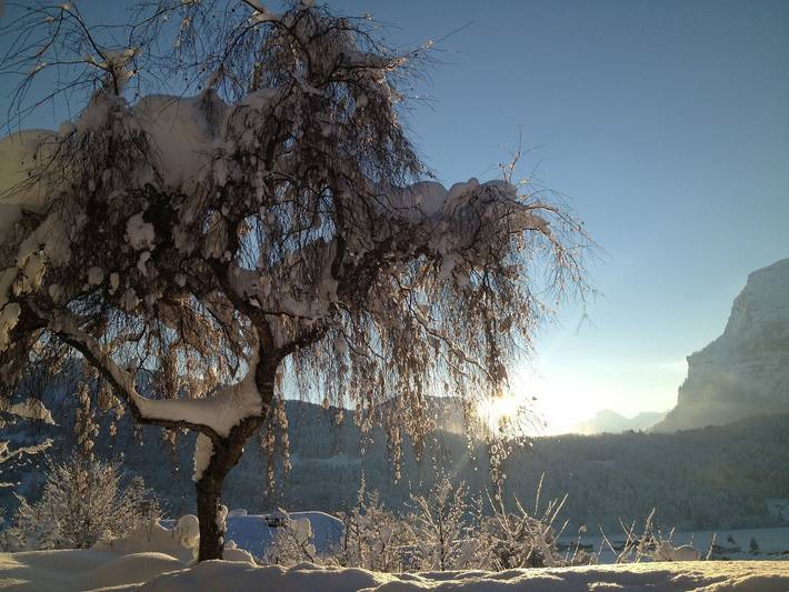 Ferienwohnung für 3 Personen, mit Terrasse und Ausblick sowie Garten in Bizau - 2