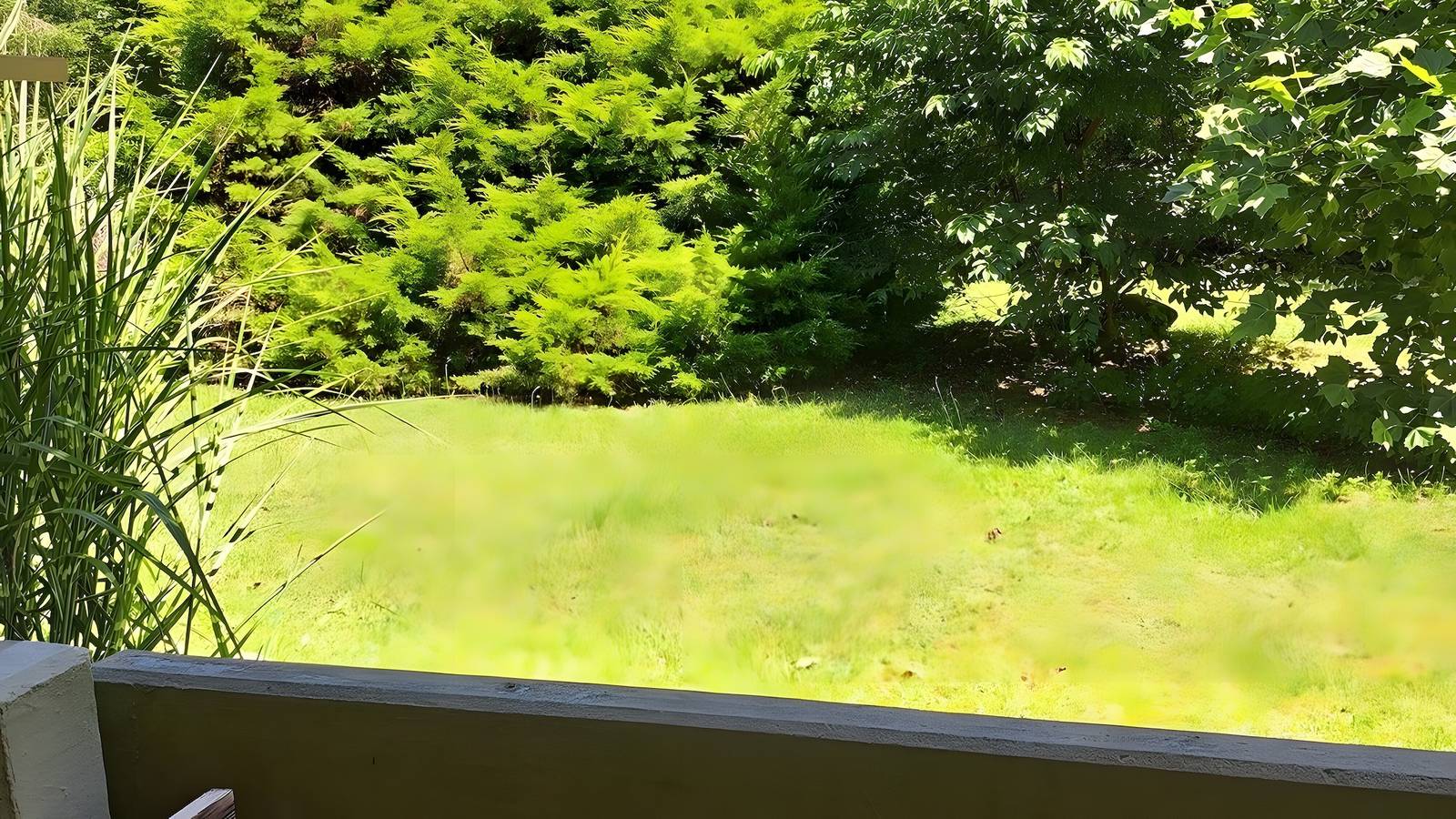 Appartement voor 2 personen (39 m²) in Ludwigswinkel, foto 14