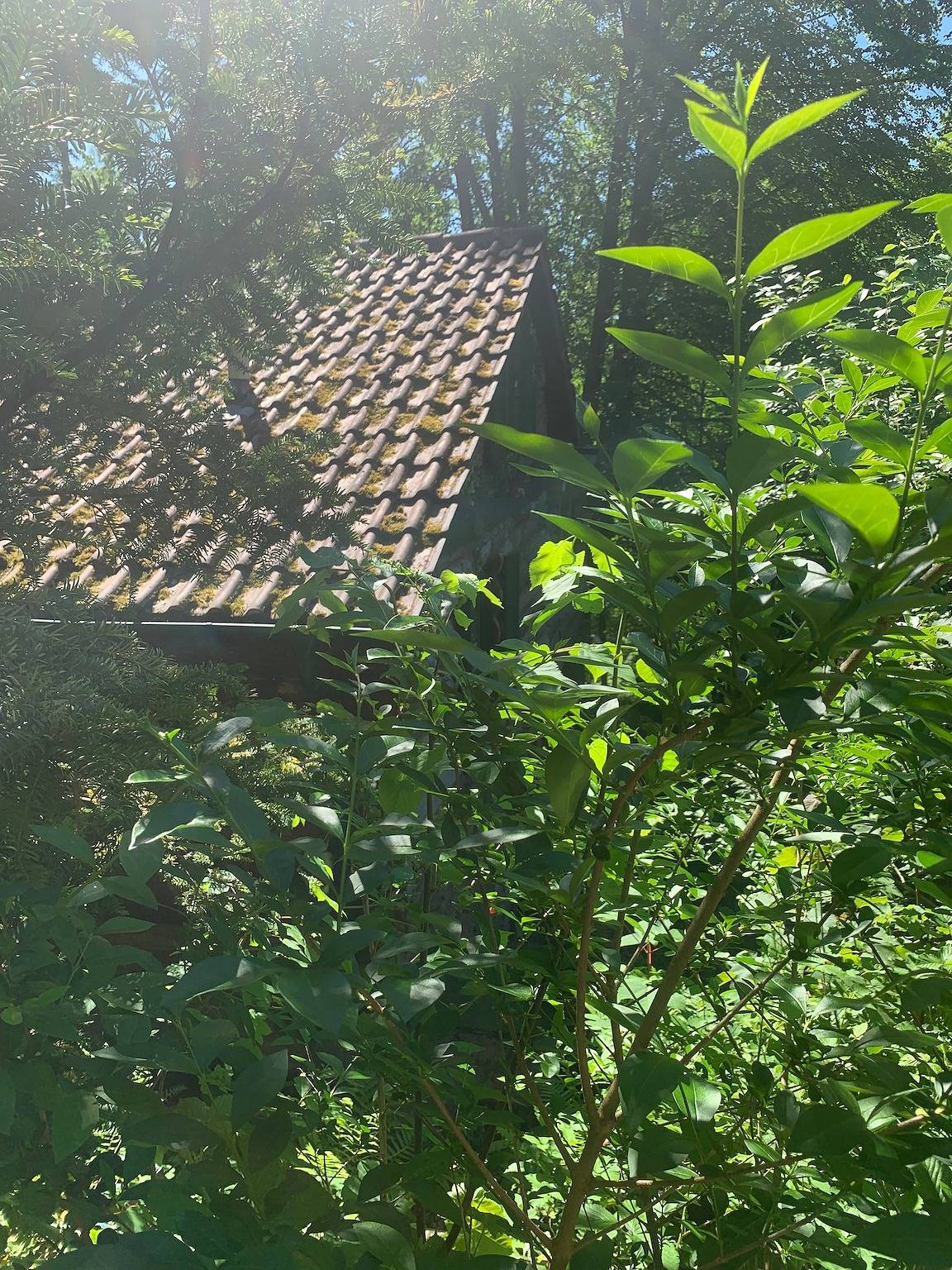 Chalet Hüttenzauber: Refugio de tranquilidad en plena naturaleza in Landkreis Südwestpfalz