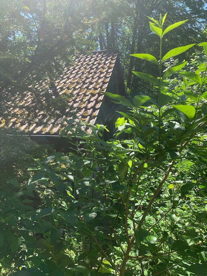 Ferienhaus für 4 Personen, mit Garten und Kinderpool im Pfälzer Wald