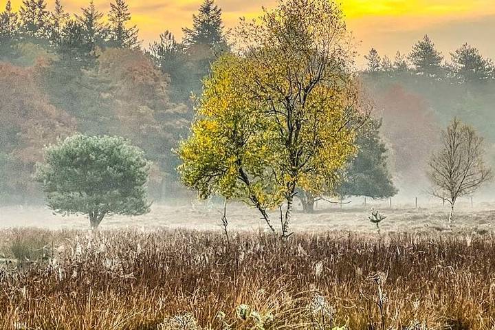 Ferienhaus für 4 Personen, mit Garten, mit Haustier in Drenthe